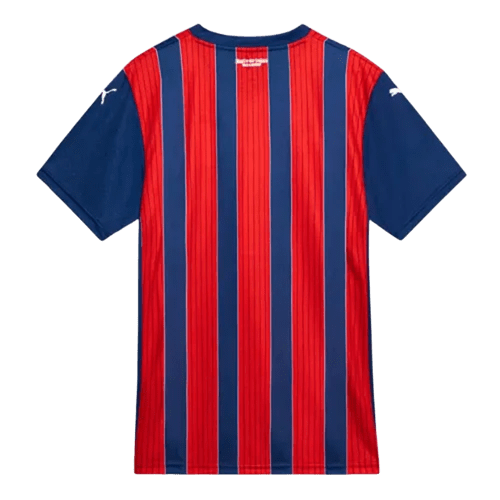 Camisa Bahia ll 2024/25